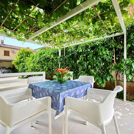 Apartman Ema Novigrad Istria Eksteriør billede